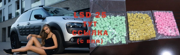 mdpv Краснослободск