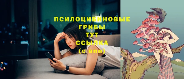 mdpv Краснослободск
